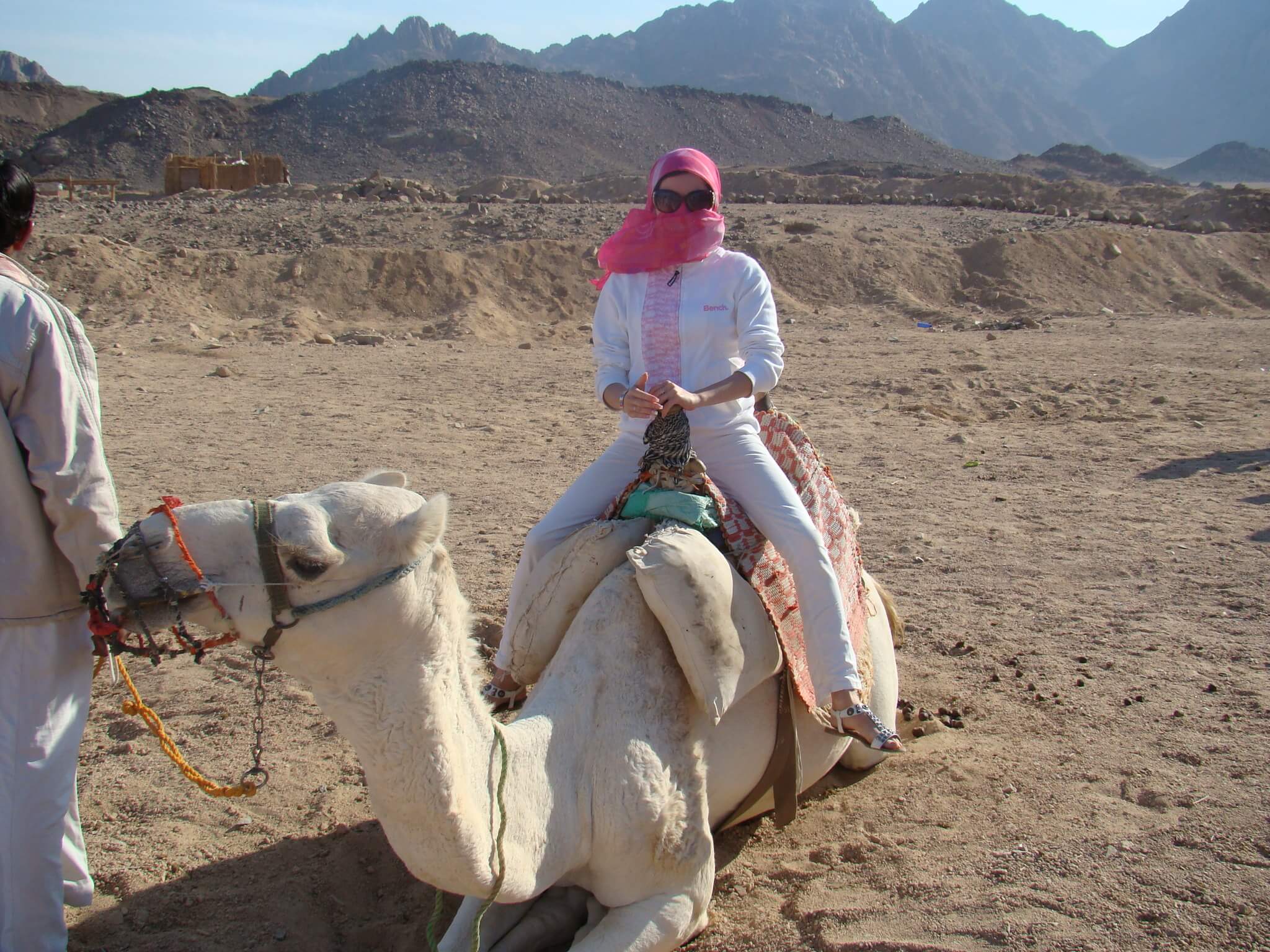 A Camel Ride in a Desert