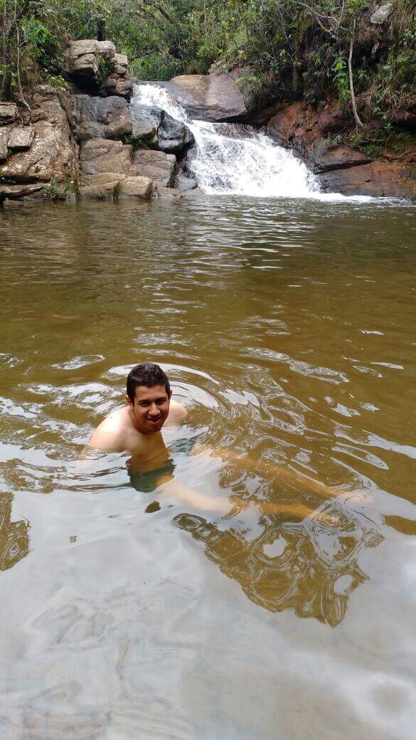 Swimming in the forest