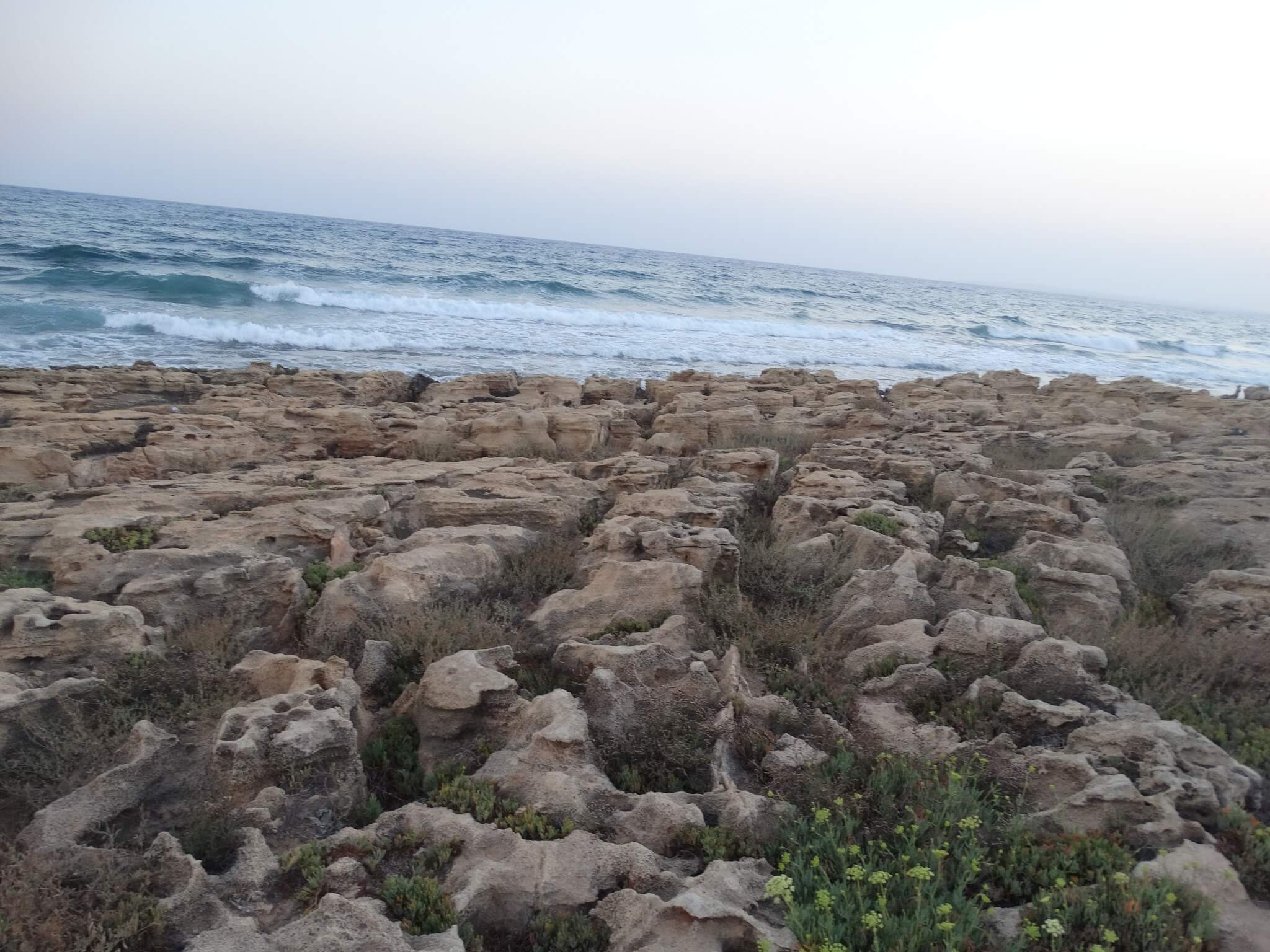 Stony beach in Cyprus