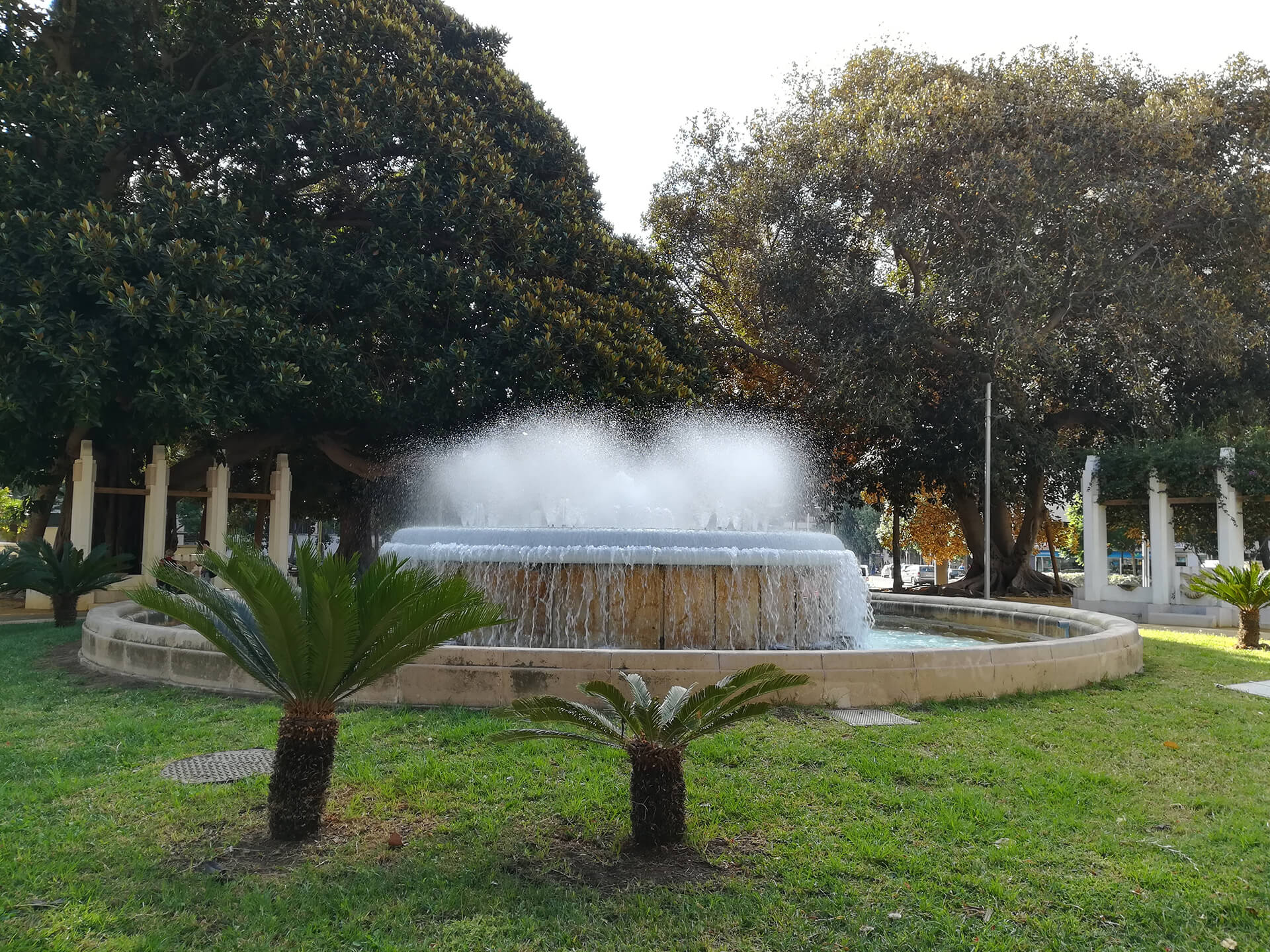 In the park in Cartagena